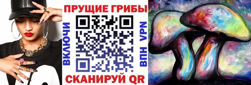 Псилоцибиновые грибы Psilocybe  блэк спрут ссылка  Клин 