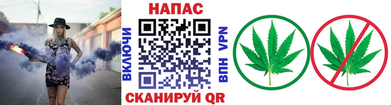 hydra   закладка  Клин  Бошки Шишки тримм 